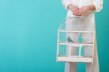 Turkuaz üzerinde izole papağan beyaz kafeste ile beyaz kızın kısmi görünümü