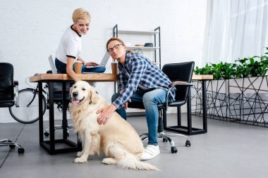 köpek işyerinde okşayarak gülümseyen genç arkadaşları 