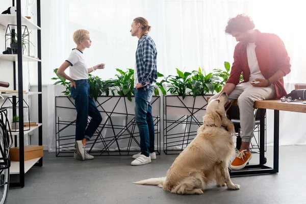 Young Man Stroking Dog While Colleagues Talking Window Office — Stock Photo, Image
