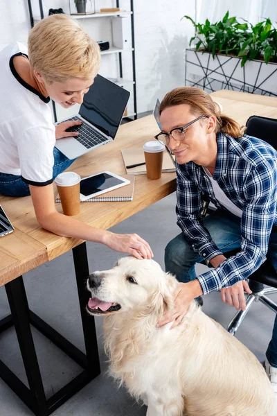 職場でラブラドール犬をなでる若い同僚の笑顔  — 無料ストックフォト