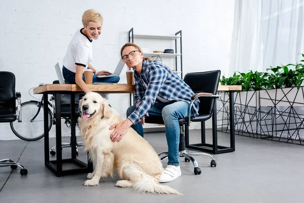 Mosolygó Fiatal Munkatársak Simogatta Kutya Munkahelyen — Stock Fotó