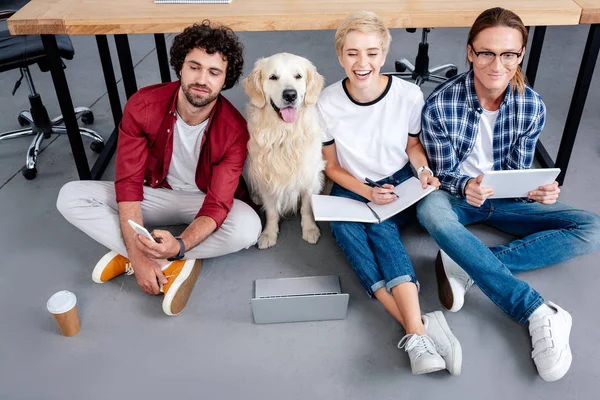 High Angle View Young Startup Team Labrador Sitting Floor Office — Free Stock Photo