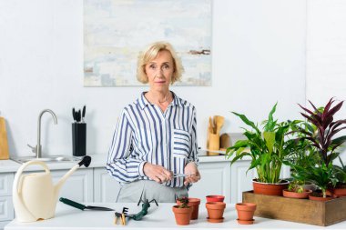 güzel ciddi üst düzey kadın houseplants tencere yetiştirilmesi ise kameraya bakıyor