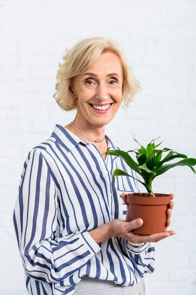 happy senior woman holding green houseplant and smiling at camera