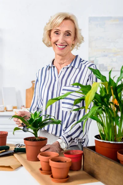 Hermosa Mujer Mayor Sonriendo Cámara Mientras Trabaja Con Hermosas Plantas — Foto de stock gratis