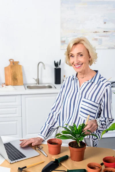 dizüstü bilgisayar kullanarak ve evde houseplant yetiştirilmesi gülümseyen kadın kıdemli 