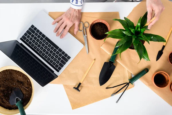 Cropped Shot Senior Woman Using Laptop Blank Screen While Cultivating — Stock Photo, Image