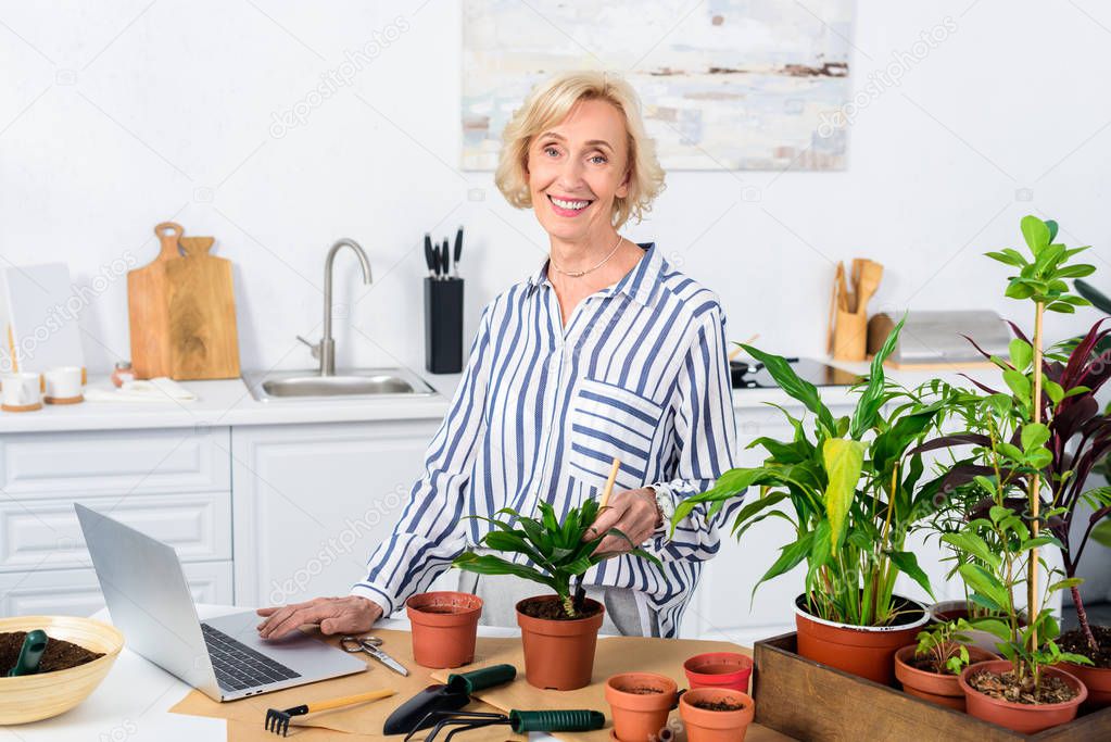 happy senior woman using laptop and cultivating houseplants at home 