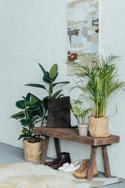 Different Shoes Wooden Bench Corridor Potted Plants Floor — Stock Photo, Image