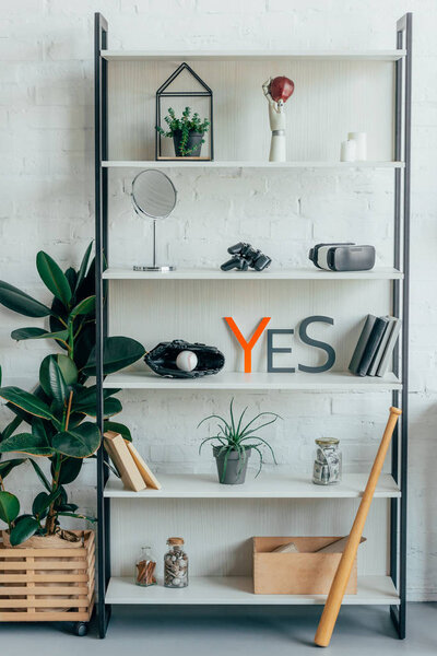 baseball ball, glove and plants on shelf in office