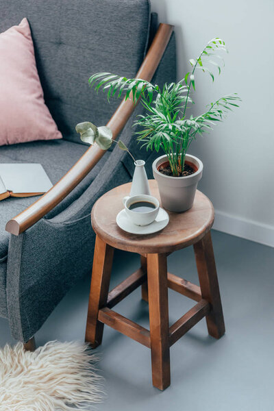 cup of coffee and potted plant on wooden chair in living room