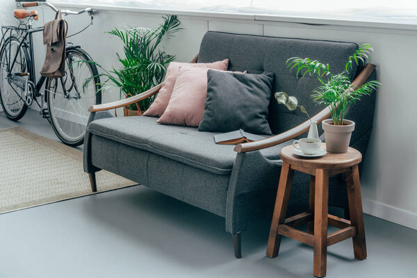 grey sofa with pillows, bicycle near wall in living room