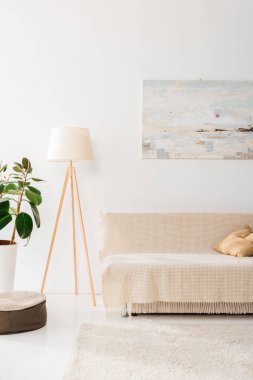 modern oturma odası lamba, bitki, resim ve sofa ile iç