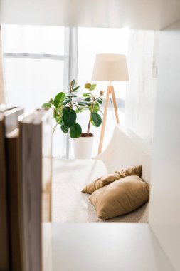 seçici odak modern oturma odasında kanepede yastık