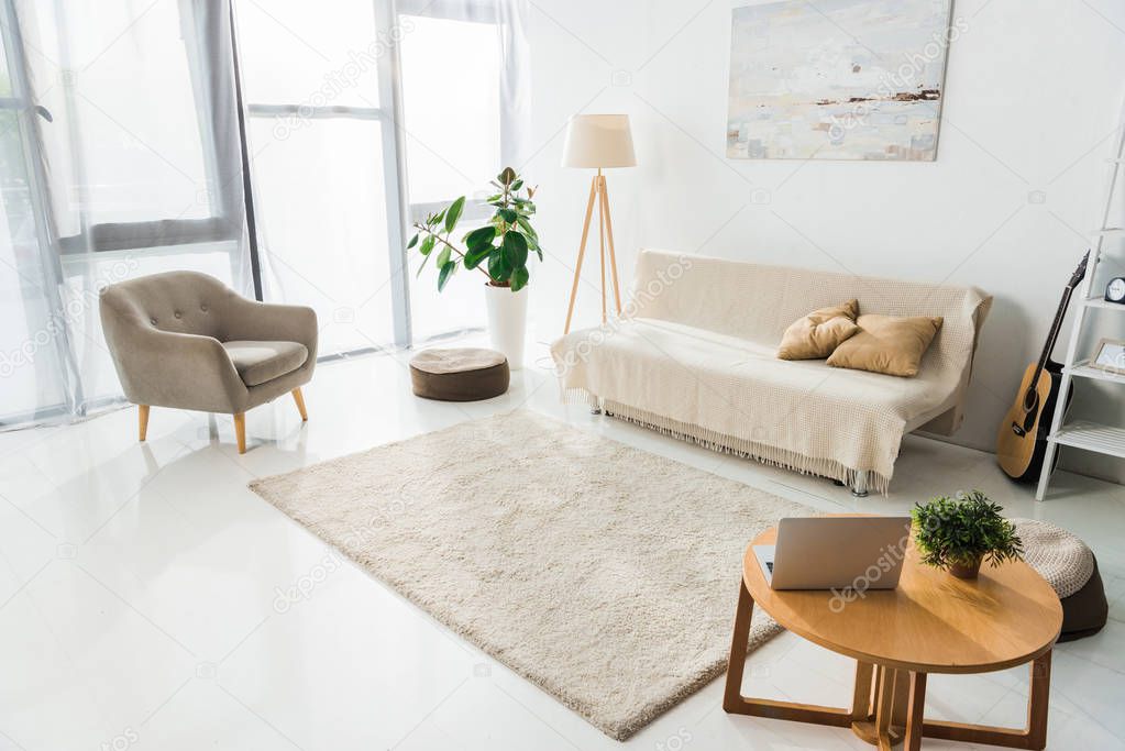 interior of modern living room with laptop, carpet and furniture 