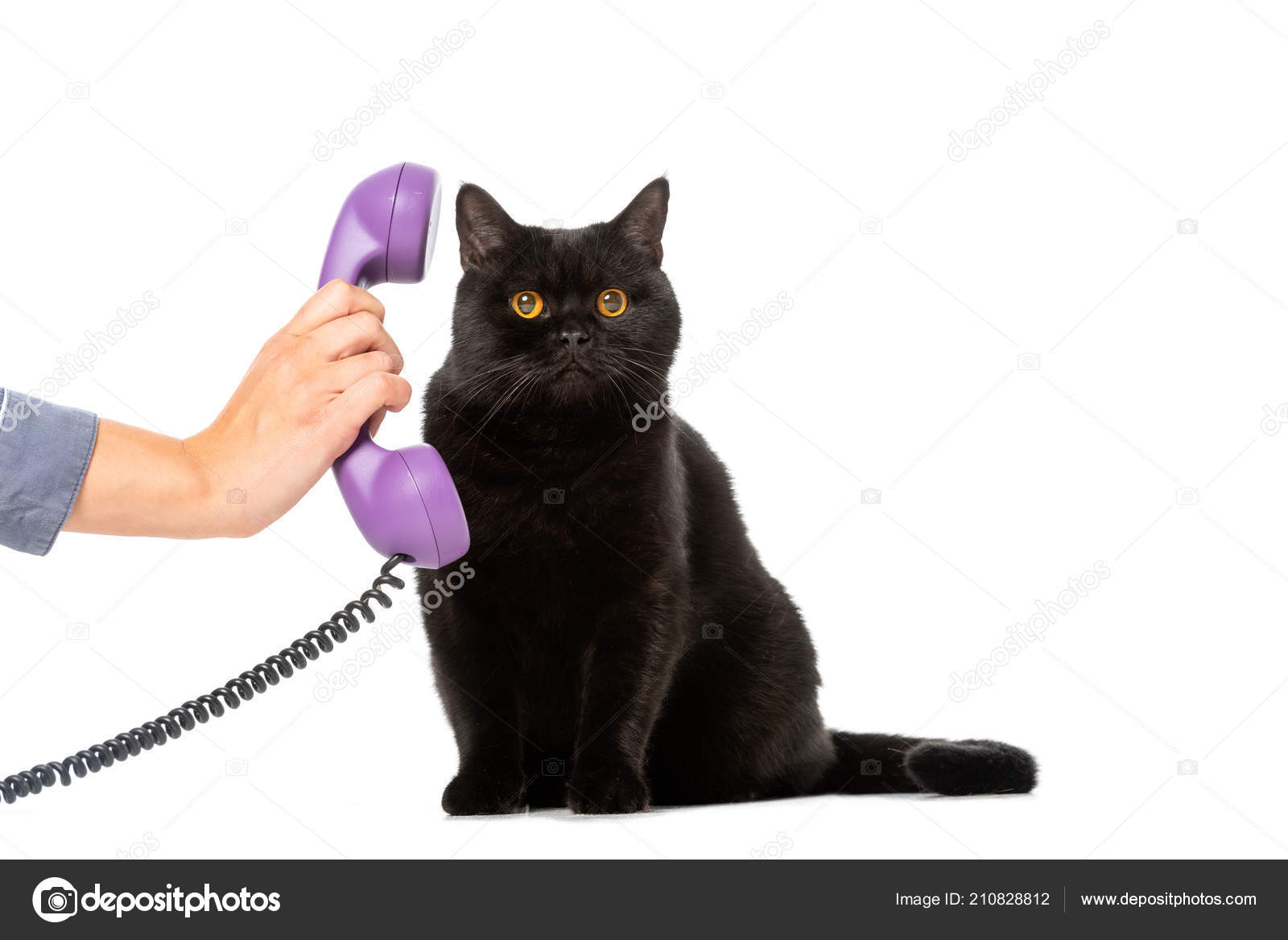Partial View Woman Giving Telephone Tube Cute Black British