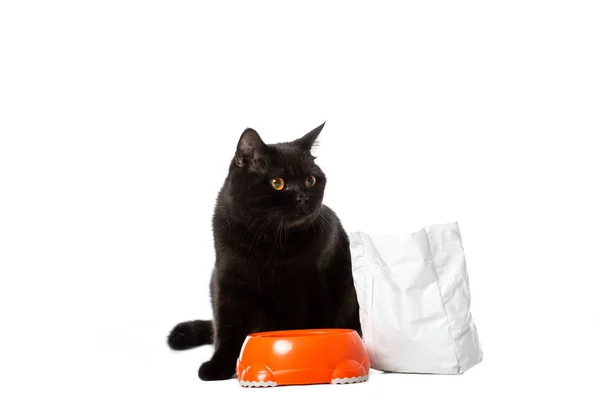 白い背景に分離された食物と一緒にボウル近くに座って黒ブリティッシュショートヘアの猫 — ストック写真