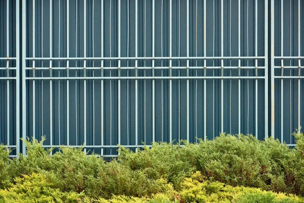 Clôture Herbe Verte Avec Des Buissons Fond Texturé — Photo gratuite