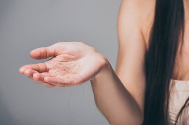 Kırpılan düşmüş saç elinde tutan genç kadın görüntüsünü izole gri, saç kaybı kavramı üzerinde