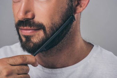 sakallı adam gri izole tarak ile sakal penye kırpılmış atış