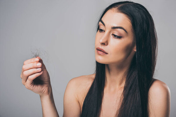 young brunette woman holding fallen hair isolated on grey, hair loss concept 