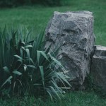 Decorative bush and rocks on meadow in botanical garden