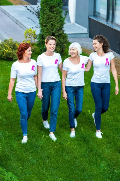 High Angle View Four Women Breast Cancer Awareness Ribbons Walking — Free Stock Photo