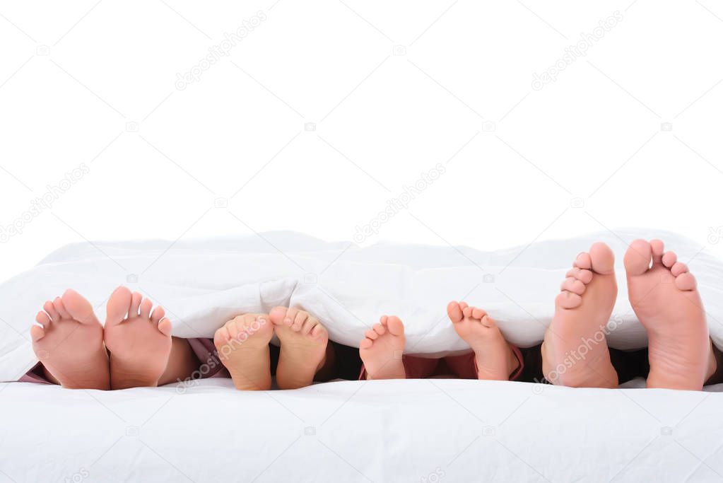 family feet in bed under white blanket, isolated on white