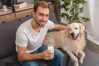bardak süt ve kameraya bakarak sevimli golden retriever köpek ile genç adam gülümsüyor, yüksek açılı görünüş