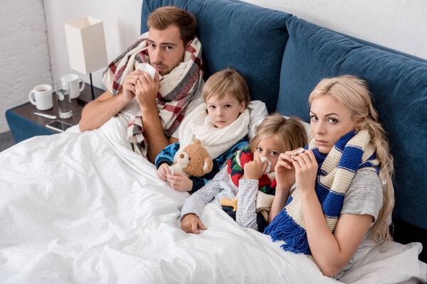 high angle view of sick young family with napkins together lying in bed and looking at camera