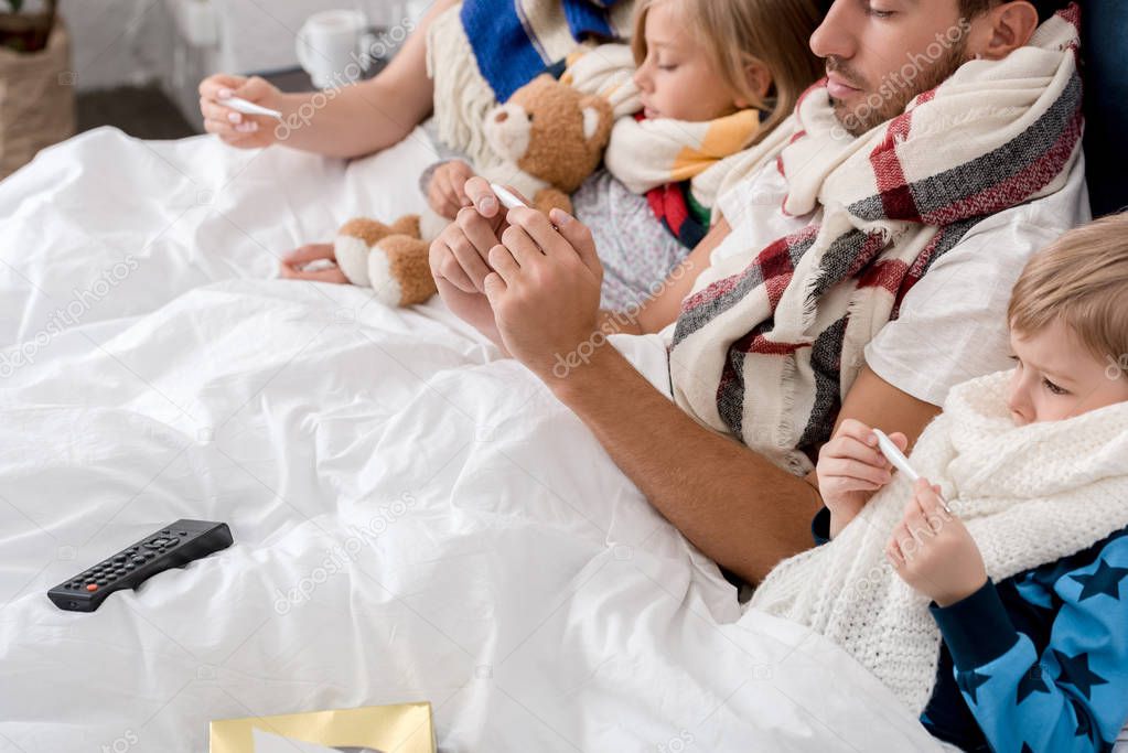 cropped shot of sick young family looking at electric thermometers while lying in bed