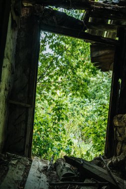 terk edilmiş binada kırık çatısı ve delik yeşil ağaçların düşük açılı görünümü