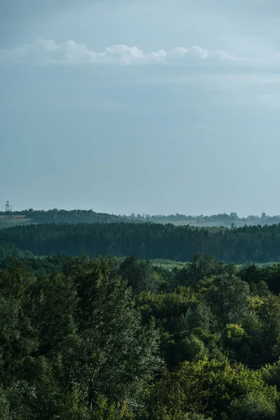 Воздушный Вид Зеленый Лес Небо Осенью — стоковое фото