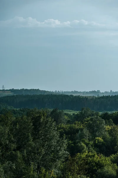 aerial view of green forest and sky in autumn