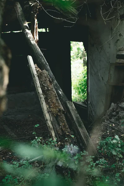 Foco Seletivo Antigo Edifício Abandonado Folhas Verdes — Fotos gratuitas