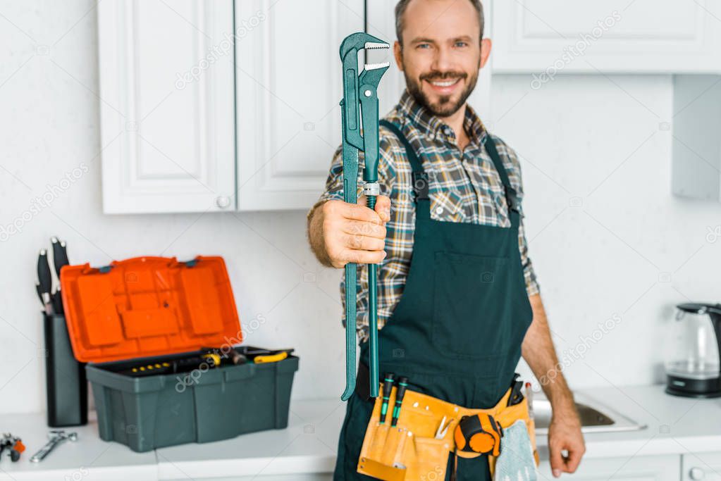 smiling handsome plumber showing monkey wrench in kitchen