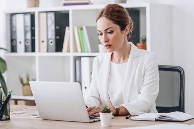 ciddi profesyonel iş kadını formal giyim ofis içinde laptop ile çalışma