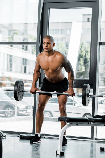 full length view of muscular shirtless young sportsman lifting barbell in gym