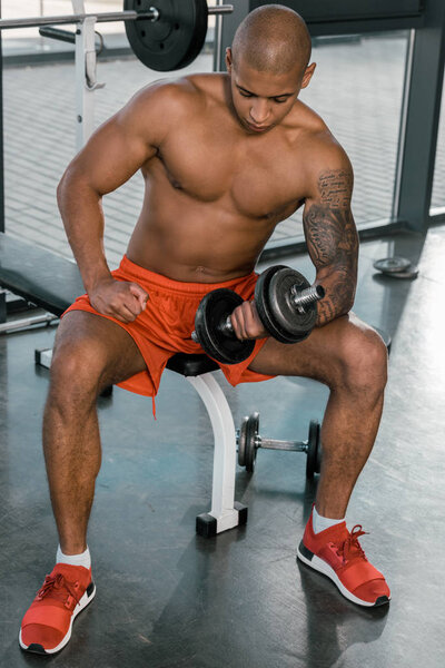 muscular shirtless african american sportsman exercising with dumbbell at gym