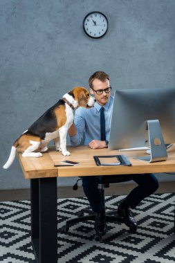 ofiste tabloda yakın oturan köpek durumdayken bilgisayarda çalışma gözlük yakışıklı işadamı yüksek açılı görünüş 