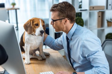 köpek ofis masada oynamaya gözlük genç işadamı yan görünüm 