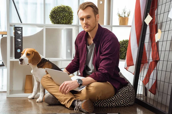 Confiado Freelancer Masculino Con Portátil Tocando Beagle Cerca Bandera Oficina — Foto de Stock