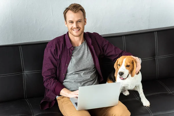 Happy Male Freelancer Sitting Sofa Laptop Adorable Beagle Home — Stock Photo, Image