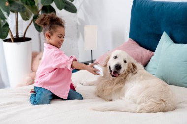Köpek yatak ve gösterileri akıllı telefon ekranına oturan sevimli Afro-Amerikan çocuk