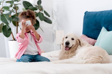 av köpeği ile yatakta oturuyor ve smartphone yakınındaki yüz tutan şirin Afro-Amerikan çocuk