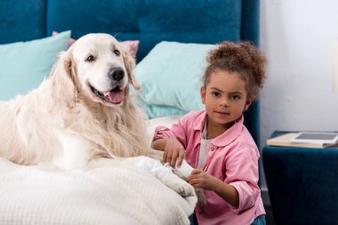 Bandaj pençe retriever oturan kıvırcık Afro-Amerikan çocuk