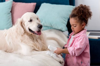 Şirin Afro-Amerikan çocuk bandaj pençe köpek