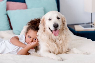  köpek için bir eğilimi süre yatakta yatan küçük kaşlarını çattı Afro-Amerikan çocuk
