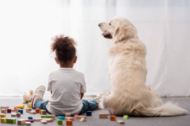 Arkadan beyaz t-shirt küçük çocukta görünüşü ile mutlu köpek oyuncak küpler tarafından çevrili