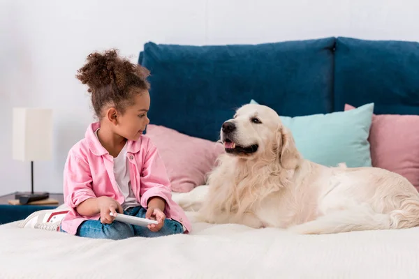 Niño Afroamericano Lindo Sentado Cama Con Golden Retriever Jugando Con — Foto de Stock